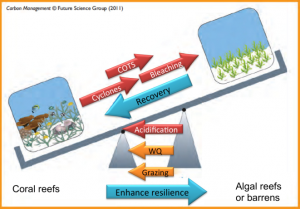Conceptual resilience model